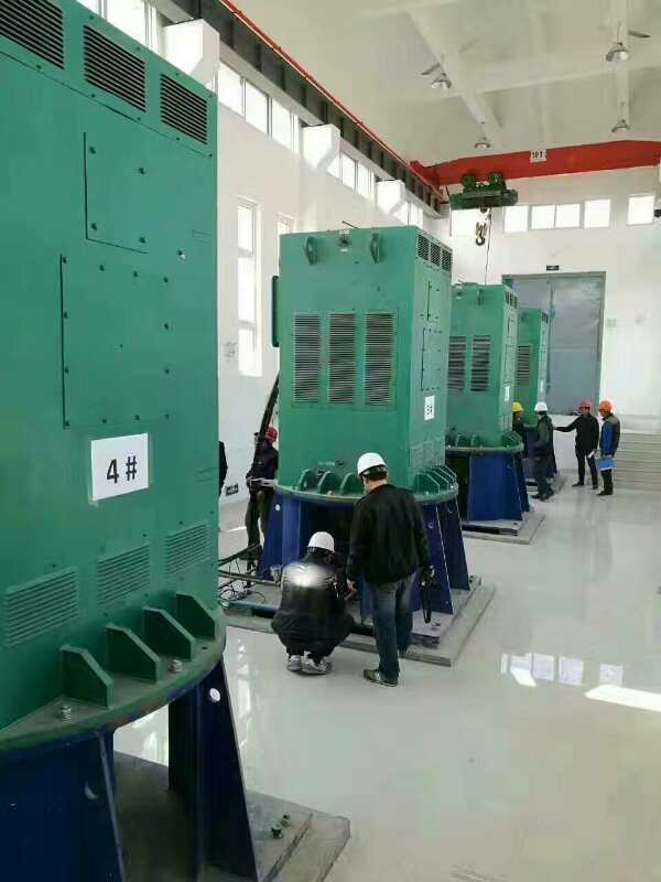 宁洱某污水处理厂使用我厂的立式高压电机安装现场一年质保